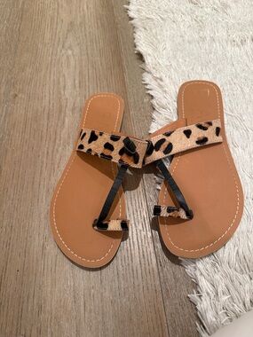 Leopard Print Toe-Loop Sandals - Brown